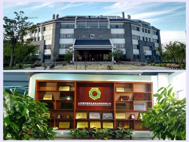 AI叉车防撞系统助力博华农业机械行业安全数字化转型升级